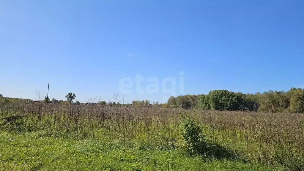 Участок в Тюменская область, Нижнетавдинский муниципальный округ, ... - Фото 1