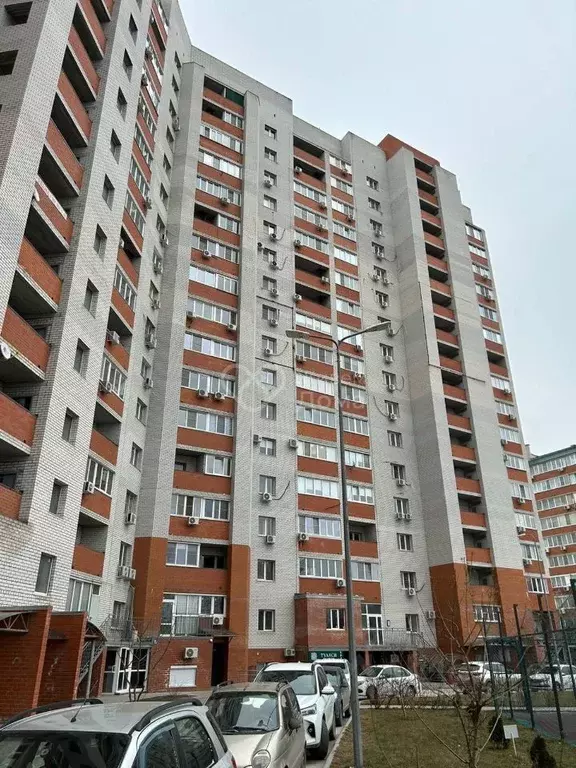 1-к кв. Волгоградская область, Волгоград просп. Маршала Жукова, 98Б ... - Фото 1