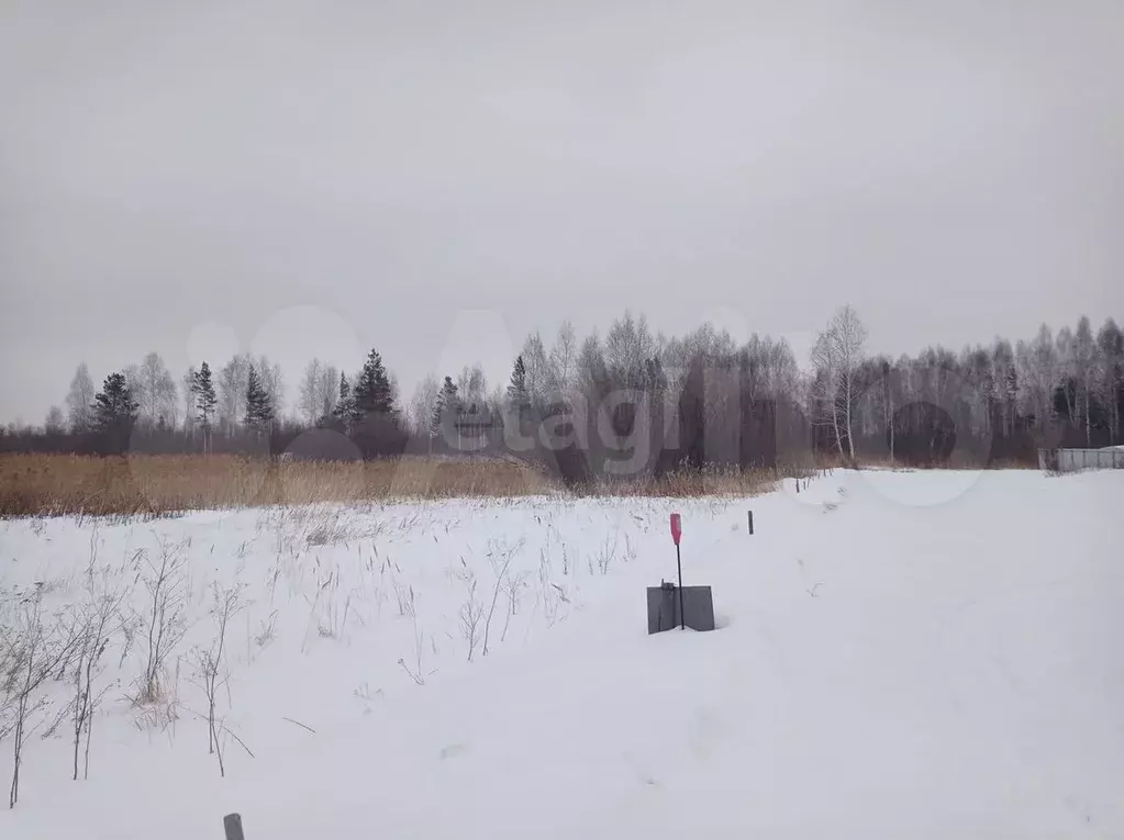 Участок 10,6 сот. (СНТ, ДНП) - Фото 0