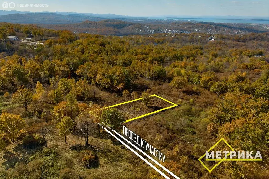 Участок в Артём, СТ Солидарность, 239 (10 м) - Фото 2