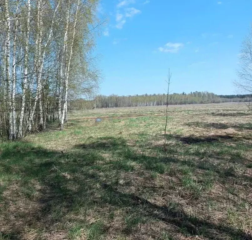 Участок в Московская область, Серпухов городской округ, с. Турово  ... - Фото 1