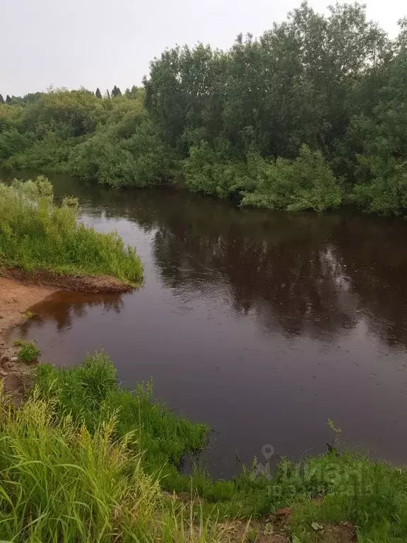 Участок в Вологодская область, Ручеек-91 СТ  (10.0 сот.) - Фото 2