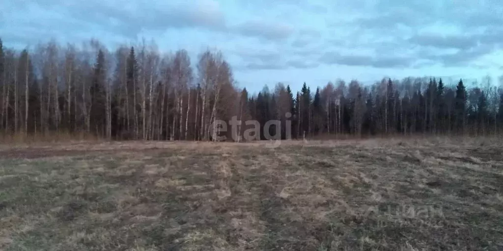 Участок в Коми, Сыктывдинский район, с. Выльгорт  (10.6 сот.) - Фото 2
