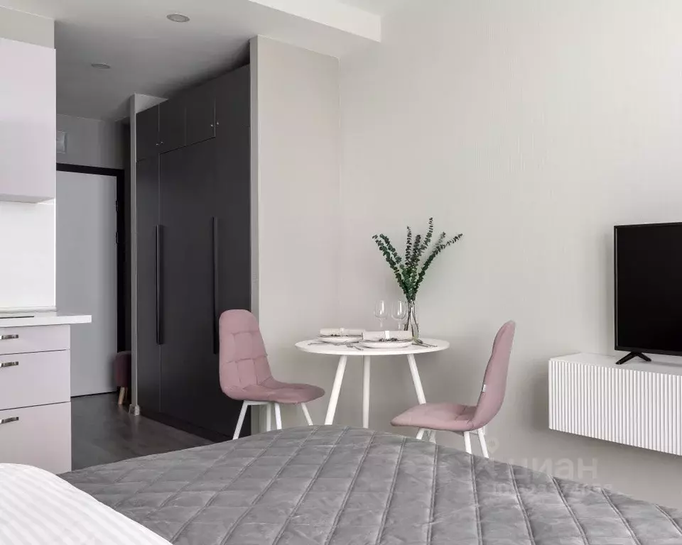 Студия Санкт-Петербург Витебский просп., 99к1 (25.2 м) - Фото 2