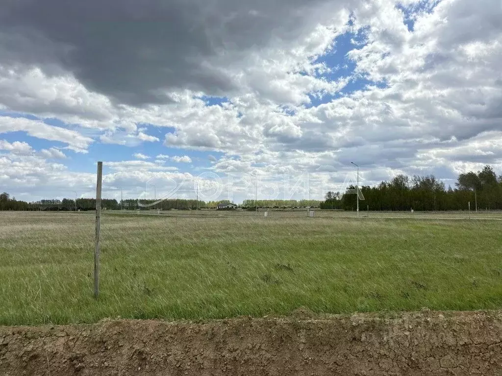 Участок в Тюменская область, Тюменский район, Новокаменский кп  (13.53 ... - Фото 1