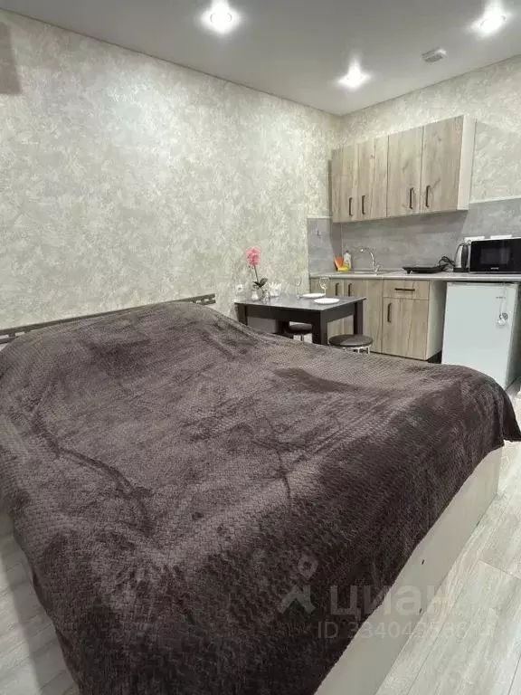 Студия Башкортостан, Уфа ул. Маршала Жукова, 5 (25.0 м) - Фото 2