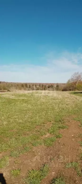 Участок в Ярославская область, Тутаевский муниципальный округ, д. ... - Фото 2