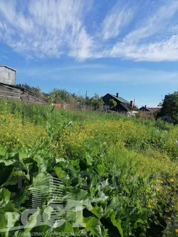 Дом в Приморский край, Артем Коллективная ул., 10 (32 м) - Фото 1