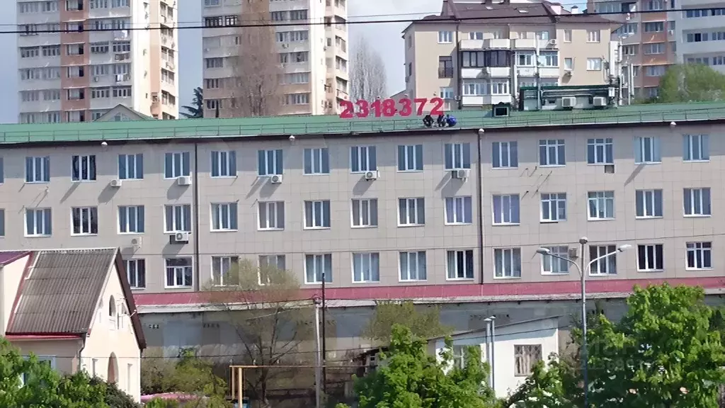 Офис в Краснодарский край, Сочи Пластунская ул., 47А (80 м) - Фото 1