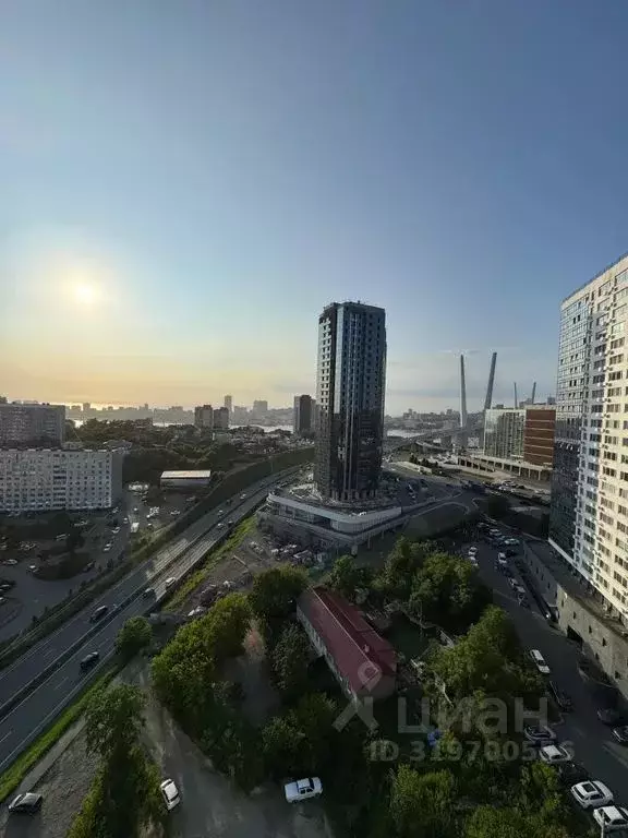 Студия Приморский край, Владивосток Брянская ул., 18 (28.0 м) - Фото 1