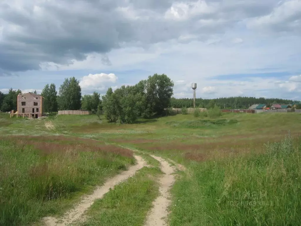 Участок в Рязанская область, Спасский район, Панинское с/пос, с. ... - Фото 2