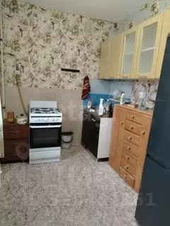 1-к кв. Ярославская область, Данилов ул. Кирова, 41 (33.4 м) - Фото 1