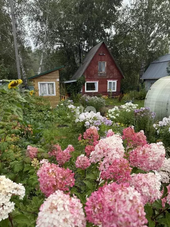 Участок в Новосибирская область, Новосибирский район, Раздольненский ... - Фото 1