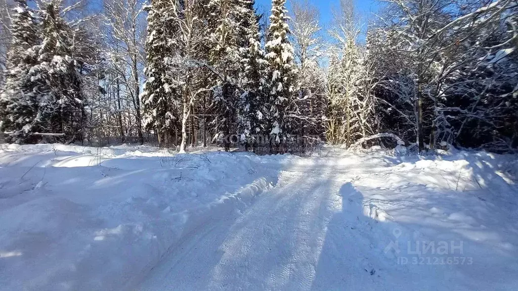 Участок в Владимирская область, Петушинское муниципальное образование, ... - Фото 2