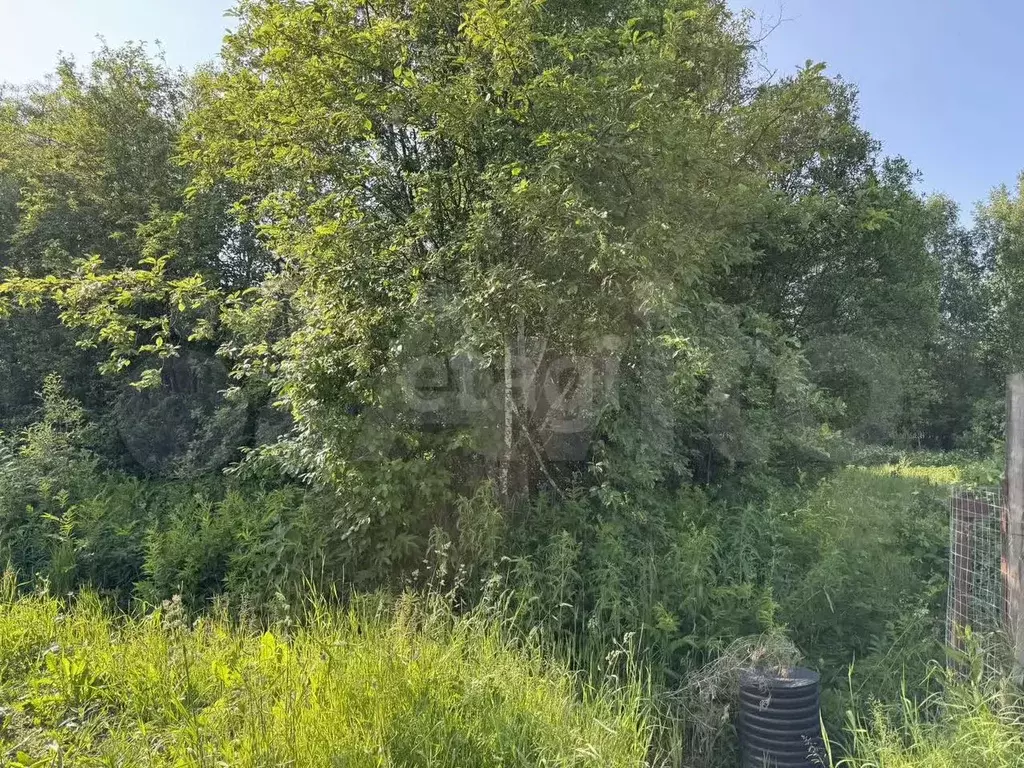 Участок 9,6 сот. (СНТ, ДНП) - Фото 1