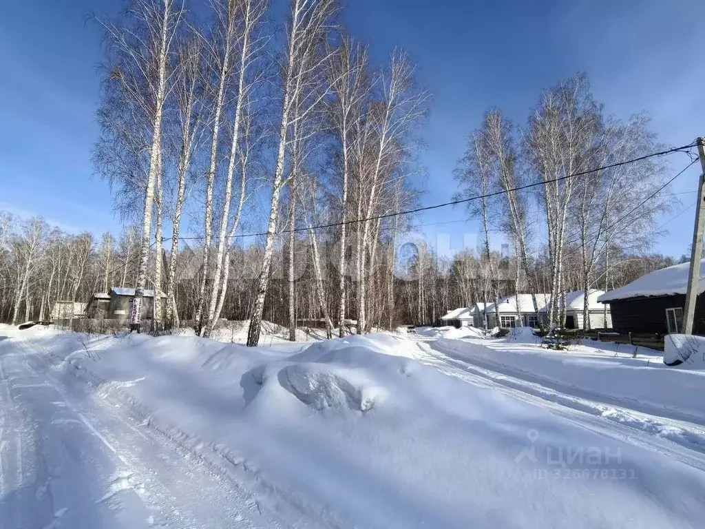 Участок в Новосибирская область, Новосибирский район, Краснообск рп, ... - Фото 2