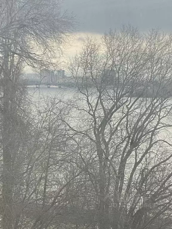 2-к кв. Саратовская область, Саратов ул. Бабушкин Взвоз, 9 (45.0 м) - Фото 2