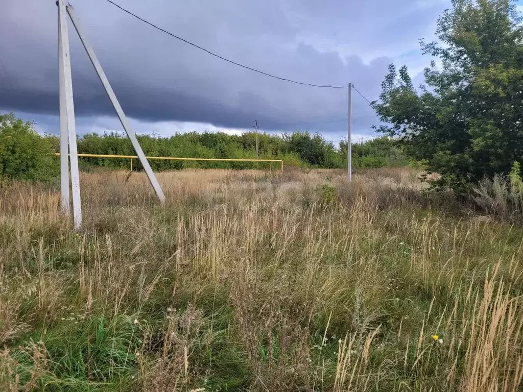 Участок в Ульяновская область, Старомайнский муниципальный округ, с. ... - Фото 2