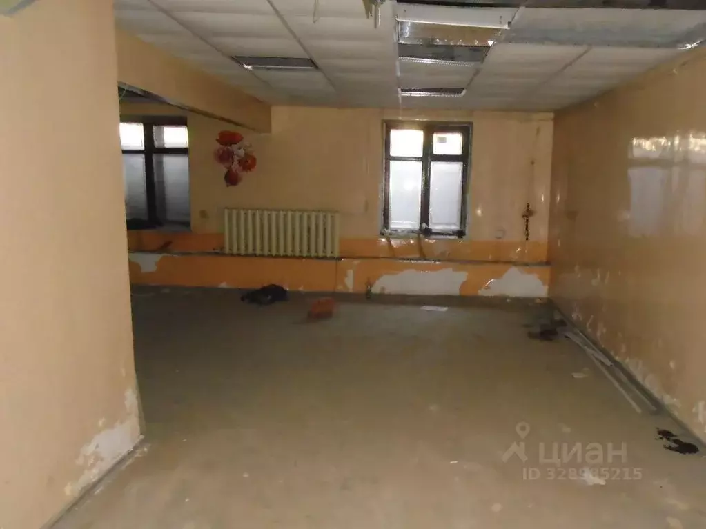 Помещение свободного назначения в Новосибирская область, Новосибирск ... - Фото 2