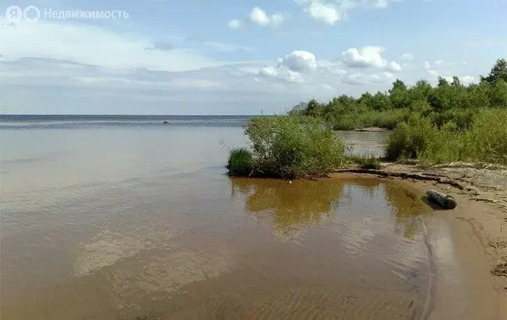 Участок в Рахьинское городское поселение (52 м) - Фото 0