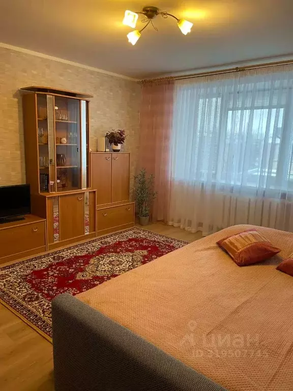 1-к кв. Краснодарский край, Сочи ул. Кирова, 77 (30.0 м) - Фото 0