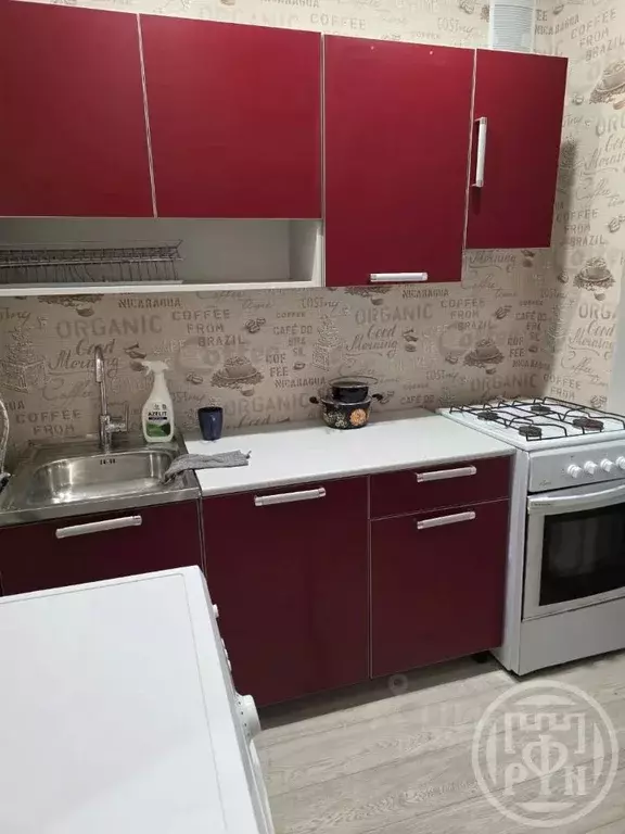 1-к кв. Ленинградская область, Ломоносовский район, Русско-Высоцкое ... - Фото 1