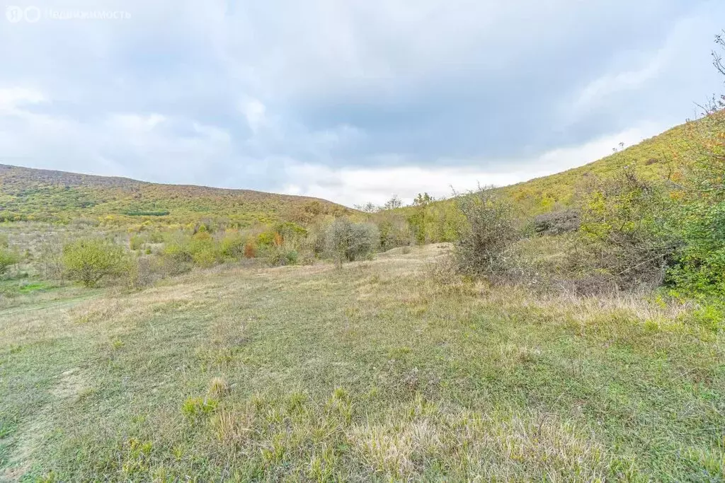 Участок в Балаклавский район, Орлиновский муниципальный округ, село ... - Фото 1