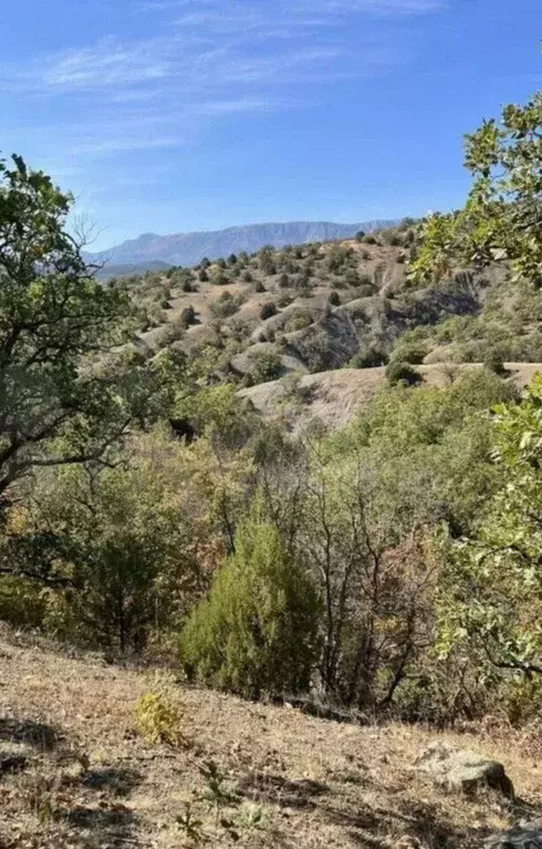 Участок в Крым, Алушта муниципальный округ, с. Приветное  (5.0 сот.) - Фото 1