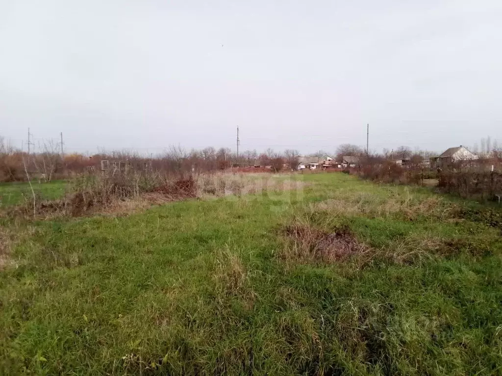 Участок в Краснодарский край, Красноармейский район, Трудобеликовское ... - Фото 2