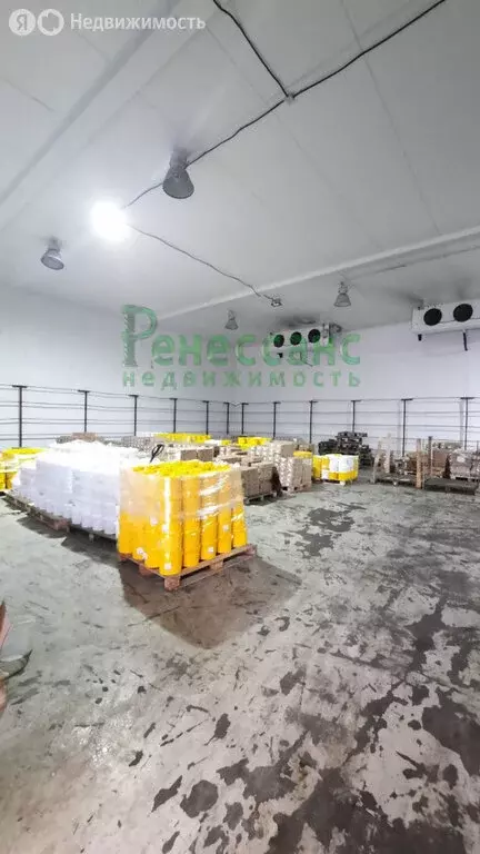 Помещение свободного назначения (321 м) - Фото 2