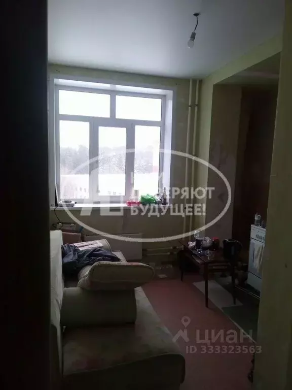 1-к кв. Пермский край, Добрянка ул. Герцена, 40А (33.1 м) - Фото 2