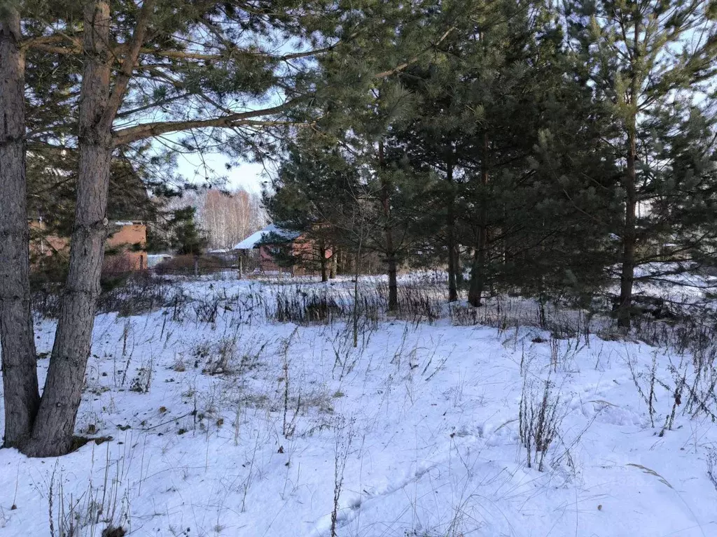 Участок в Московская область, Раменский муниципальный округ, с. Речицы ... - Фото 2