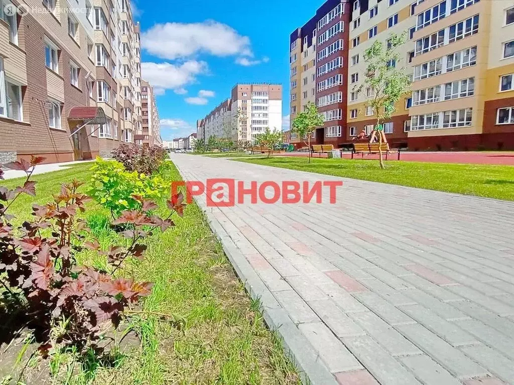 2-комнатная квартира: Элитный, Венская улица, 8 (48 м) - Фото 1