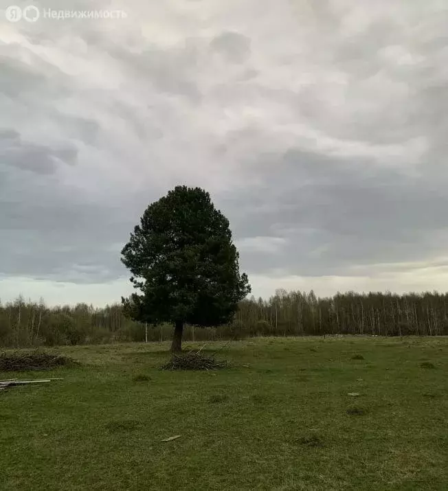 Участок в село Лучаново, Берёзовая улица (730 м) - Фото 1