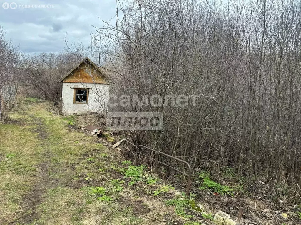 Участок в Октябрьский, КС Восточный (8.09 м) - Фото 1