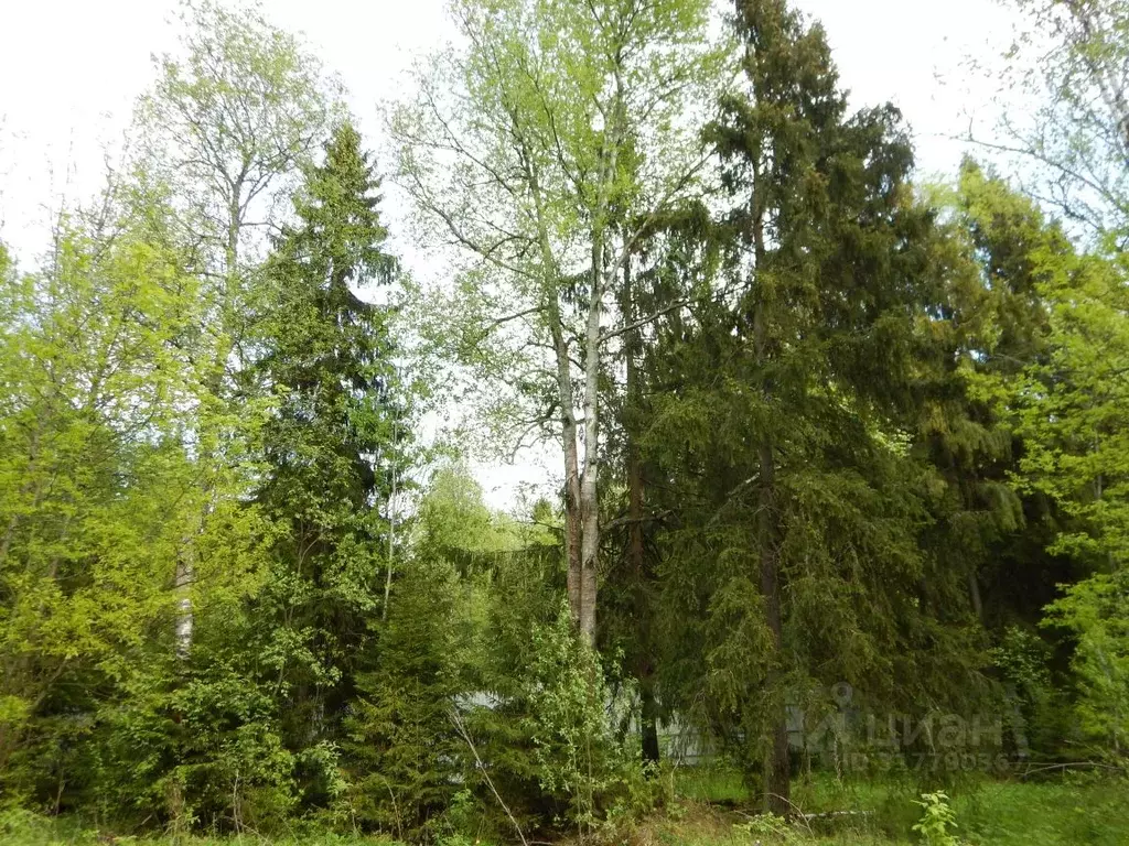 Участок в Московская область, Пушкинский городской округ, ... - Фото 1