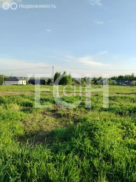 Участок в Тульская область, городской округ Тула, деревня Барсуки, ... - Фото 1