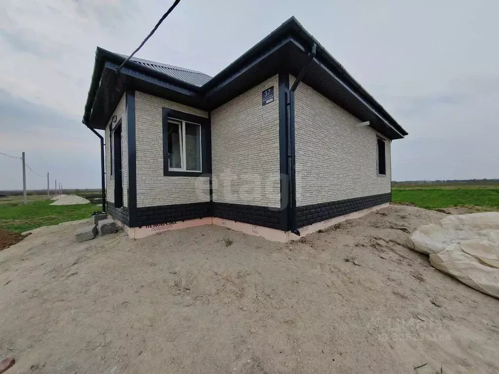 Дом в Амурская область, Белогорский муниципальный округ, с. Васильевка ... - Фото 1