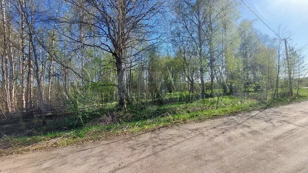 Участок 15 сот. (ИЖС) - Фото 1