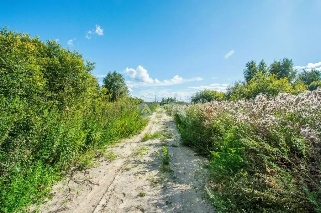Участок в Тюменская область, Нижнетавдинский муниципальный округ, ... - Фото 2