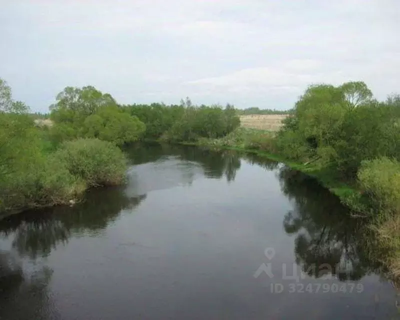 Участок в Псковская область, Островский район, Бережанская волость, д. ... - Фото 2