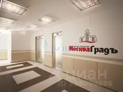 Студия Нижегородская область, Нижний Новгород Московское ш., 167 (26.5 ... - Фото 2