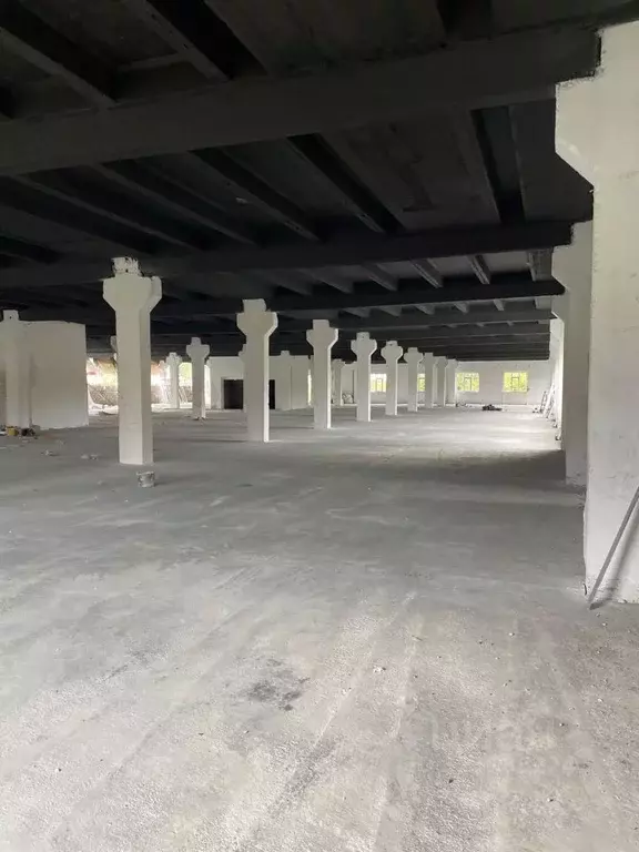 Помещение свободного назначения в Краснодарский край, Сочи ул. ... - Фото 2