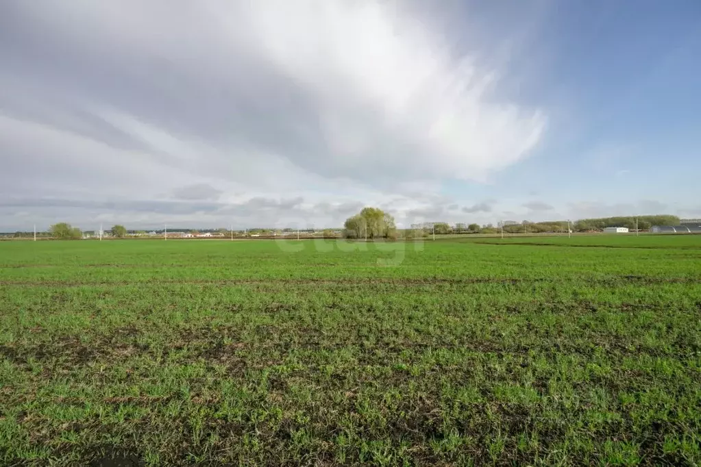 Участок в Татарстан, Тукаевский район, с. Калмия  (8.0 сот.) - Фото 1