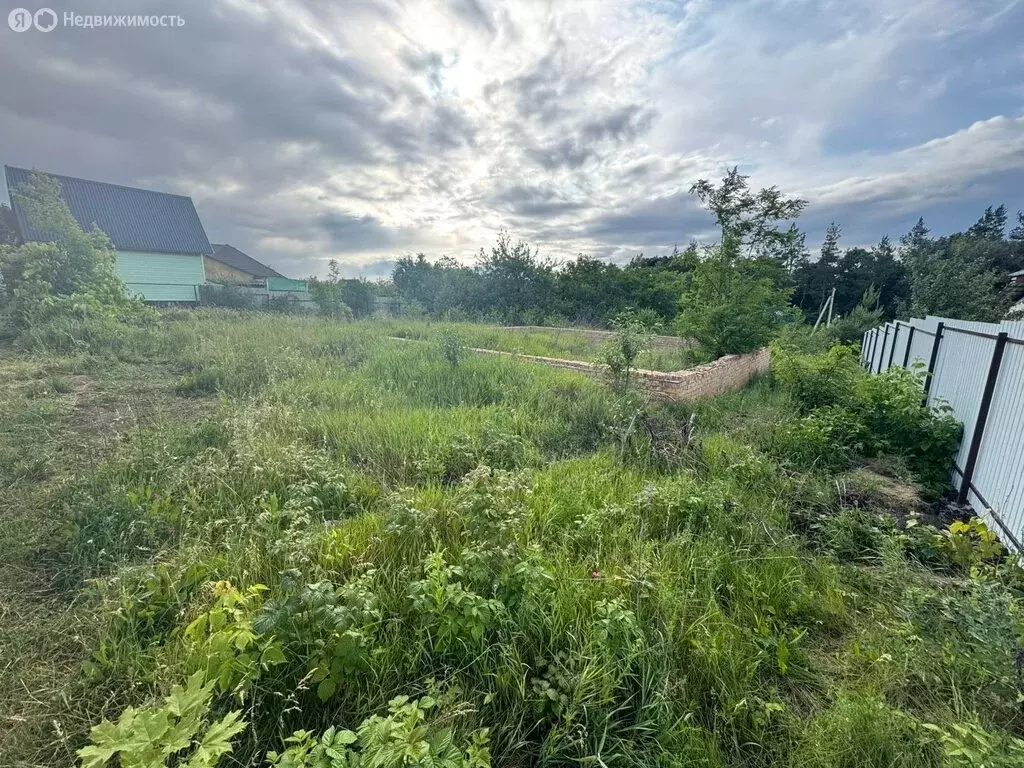Участок в Белгородская область, Яковлевский муниципальный округ, СНТ ... - Фото 1