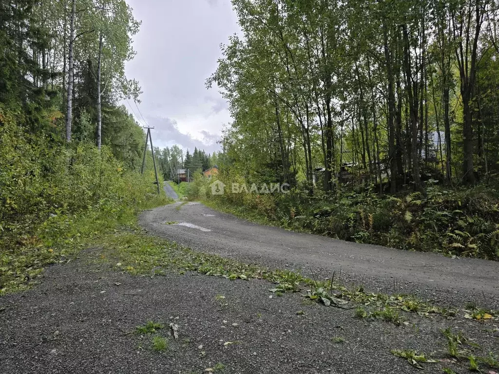 Участок в Карелия, Прионежский район, Нововилговское с/пос, Огонек СНТ ... - Фото 0