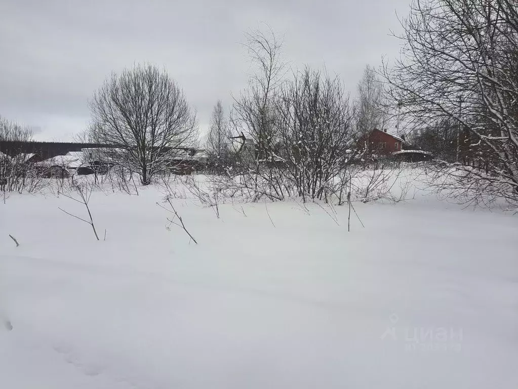 Участок в Московская область, Солнечногорск городской округ, д. ... - Фото 1