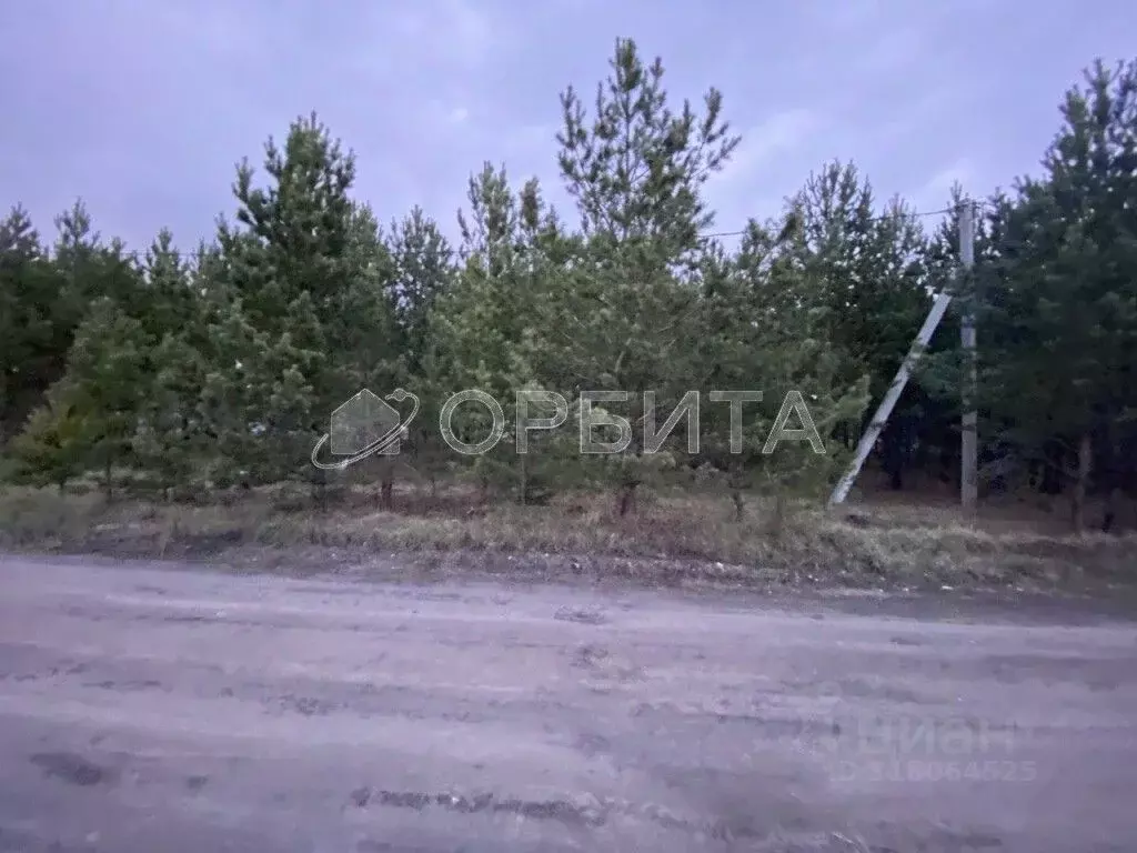 Участок в Свердловская область, Тугулым пгт ул. Новостроящаяся (9.99 ... - Фото 0