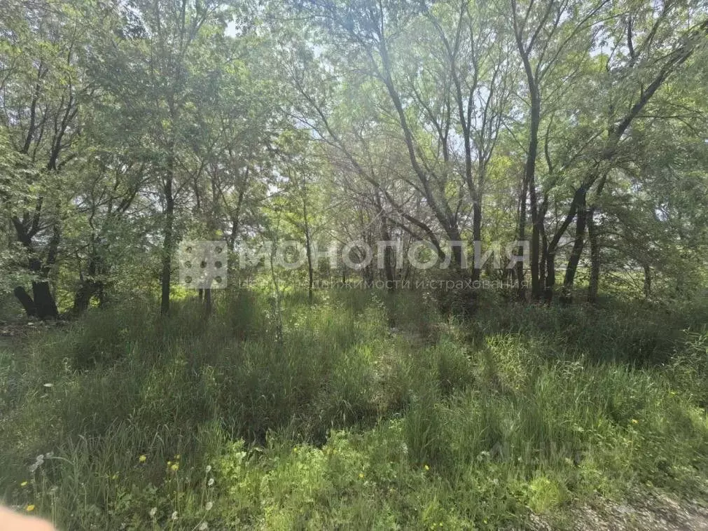 Участок в Амурская область, Белогорск Волочаевская ул. (8.0 сот.) - Фото 1