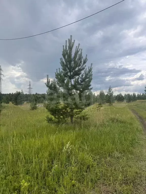 Участок 8,62 га (ИЖС) - Фото 1